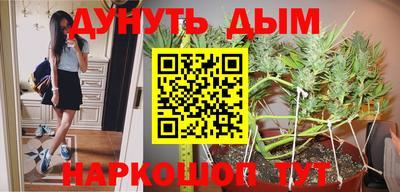 прущие грибы Наро-Фоминск