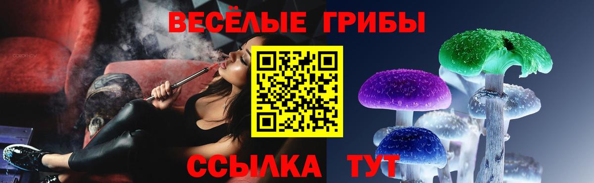 Псилоцибиновые грибы мицелий  Вход с VPN  закладки  Троицк 